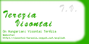 terezia visontai business card